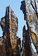 Patina 24